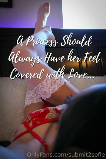 submit2sofie / slayerofliarsandscammers2.0 Nude Leaks OnlyFans Photo 10